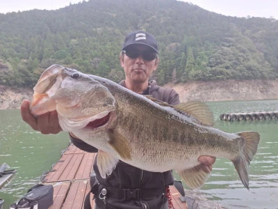 Y企画の2026年4月12日(日)5枚目の写真