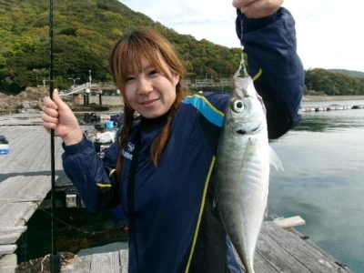 由良海つり公園&釣堀ランドの2026年4月14日(火)1枚目の写真