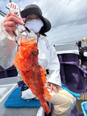 つる丸の2026年4月15日(水)2枚目の写真