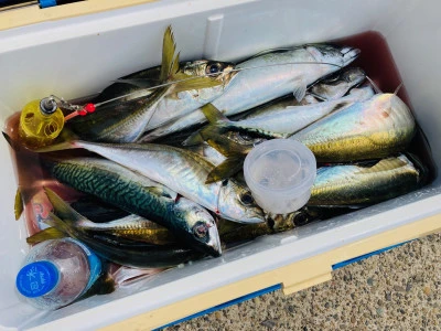 太幸丸の2026年4月15日(水)4枚目の写真