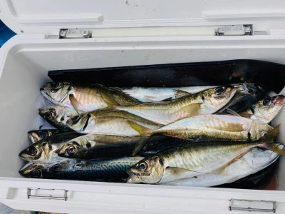 太幸丸の2026年4月15日(水)5枚目の写真