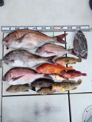 竜洞丸の2026年4月15日(水)2枚目の写真