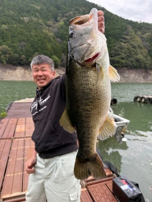 Y企画の2026年4月14日(火)1枚目の写真