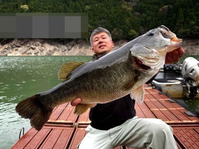 Y企画の2026年4月14日(火)2枚目の写真