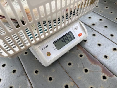 Y企画の2026年4月14日(火)4枚目の写真