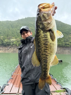 Y企画の2026年4月15日(水)1枚目の写真