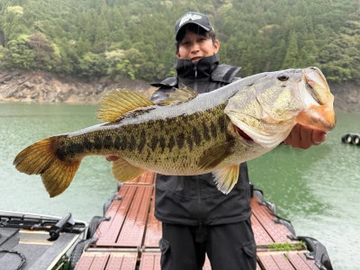 Y企画の2026年4月15日(水)2枚目の写真