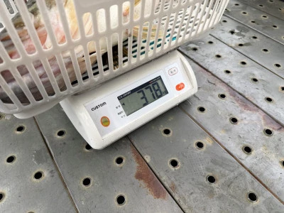 Y企画の2026年4月15日(水)4枚目の写真