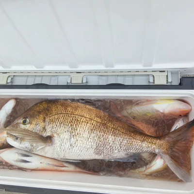 西田渡船の2026年4月18日(土)1枚目の写真