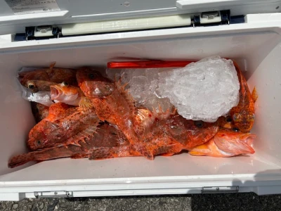 釣り船 黒潮丸の2026年4月19日(日)3枚目の写真
