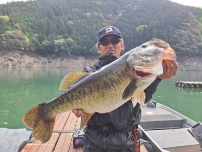 Y企画の2026年4月19日(日)1枚目の写真