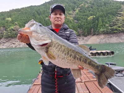 Y企画の2026年4月19日(日)2枚目の写真