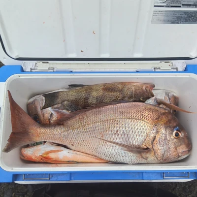 西田渡船の2026年4月22日(水)1枚目の写真