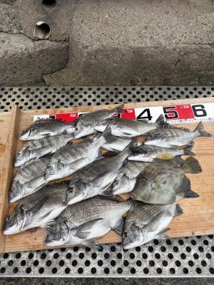金丸渡船の2026年4月22日(水)3枚目の写真