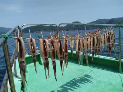 なごみ丸の2026年4月28日(火)2枚目の写真