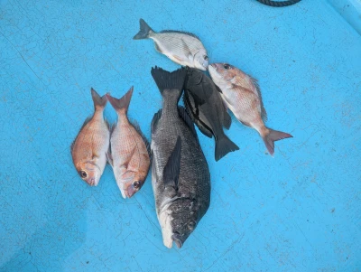 あご湾釣りセンターの2026年5月5日(火)1枚目の写真