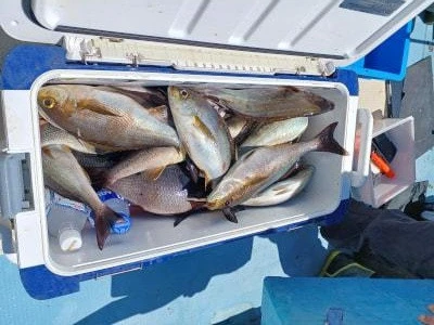Fishing MOLA MOLAの2026年5月5日(火)1枚目の写真