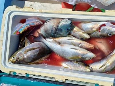 Fishing MOLA MOLAの2026年5月5日(火)2枚目の写真
