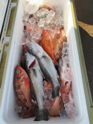 鈴木釣具店の2026年5月6日(水)2枚目の写真