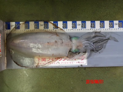 下関フィッシングパークの2026年5月20日(水)1枚目の写真