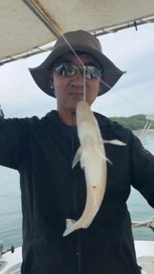 KAIMARU･凱丸の2026年6月4日(木)2枚目の写真