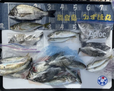 第二みずほ丸・大久保の釣り筏の2026年6月9日(火)2枚目の写真