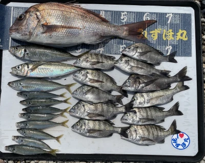 第二みずほ丸・大久保の釣り筏の2026年6月11日(木)2枚目の写真