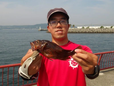 神戸市立 平磯海づり公園の2026年6月13日(土)2枚目の写真