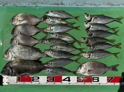 宝徳丸の2026年6月13日(土)2枚目の写真