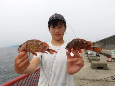 神戸市立 平磯海づり公園の2026年6月14日(日)2枚目の写真