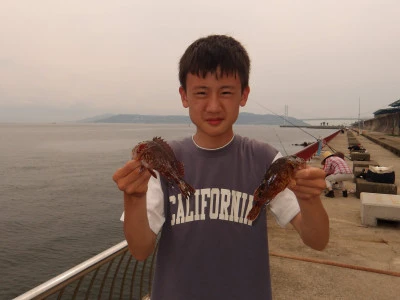 神戸市立 平磯海づり公園の2026年6月14日(日)3枚目の写真