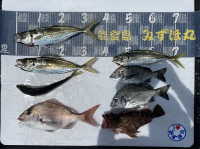 第二みずほ丸・大久保の釣り筏の2026年6月15日(月)2枚目の写真
