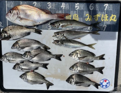 第二みずほ丸・大久保の釣り筏の2026年6月16日(火)3枚目の写真