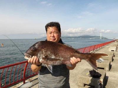 神戸市立 平磯海づり公園の2026年6月17日(水)1枚目の写真