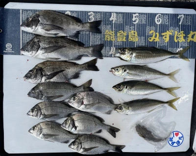 第二みずほ丸・大久保の釣り筏の2026年6月17日(水)4枚目の写真