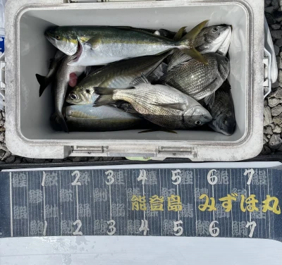 第二みずほ丸・大久保の釣り筏の2026年6月23日(火)1枚目の写真