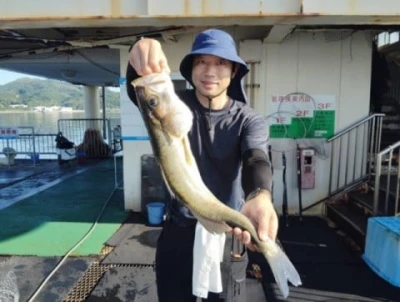 福岡市海釣り公園の2026年6月29日(月)1枚目の写真