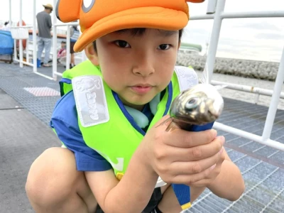 尼崎市立魚つり公園の2026年7月12日(日)3枚目の写真