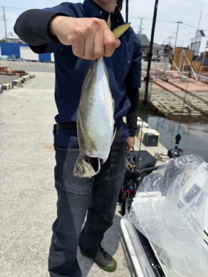 釣り船 魚英の2026年7月13日(月)3枚目の写真