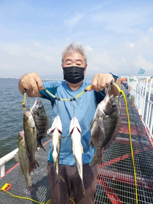 尼崎市立魚つり公園の2026年7月13日(月)3枚目の写真