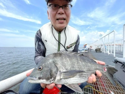 尼崎市立魚つり公園の2026年7月16日(木)3枚目の写真