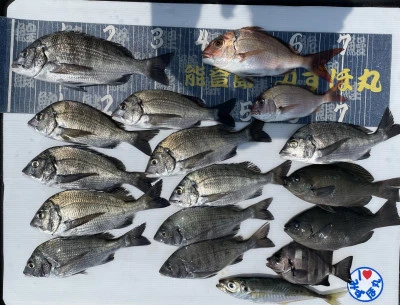 第二みずほ丸・大久保の釣り筏の2026年7月22日(水)1枚目の写真