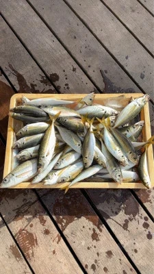 荒川屋の2026年8月12日(水)5枚目の写真