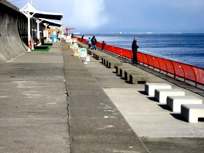 神戸市立 平磯海づり公園