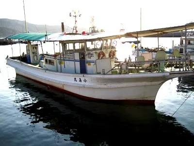 大阪府小島漁港 小島丸の釣りもの 釣果情報 ニュース 釣りビジョン 大阪府小島漁港 小島丸の釣りもの 釣果情報 ニュース 釣りビジョン
