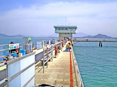 福岡県池の浦地先 福岡市海釣り公園の釣果詳細 釣果 施設情報 釣りビジョン 釣果 施設情報 釣りビジョン