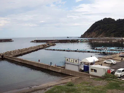 福井県日向漁港 ひるが海上釣堀の釣果詳細 釣果 施設情報 釣りビジョン 釣果 施設情報 釣りビジョン