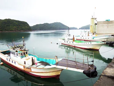 甲浦磯釣センター