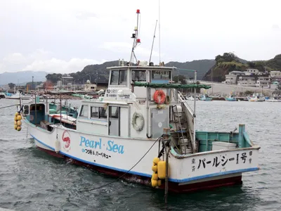 三重県田曽浦 バーベキュー釣船パールシー号へのアクセス 釣果情報 ニュース 釣りビジョン