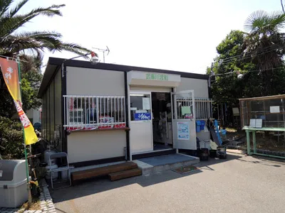 釣果 武庫川 渡船